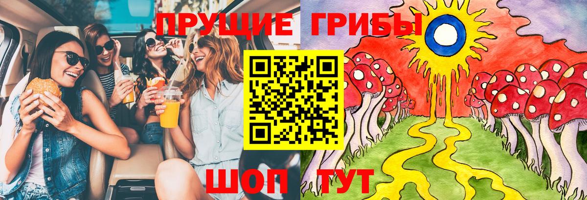 Псилоцибиновые грибы Psilocybe Куйбышев