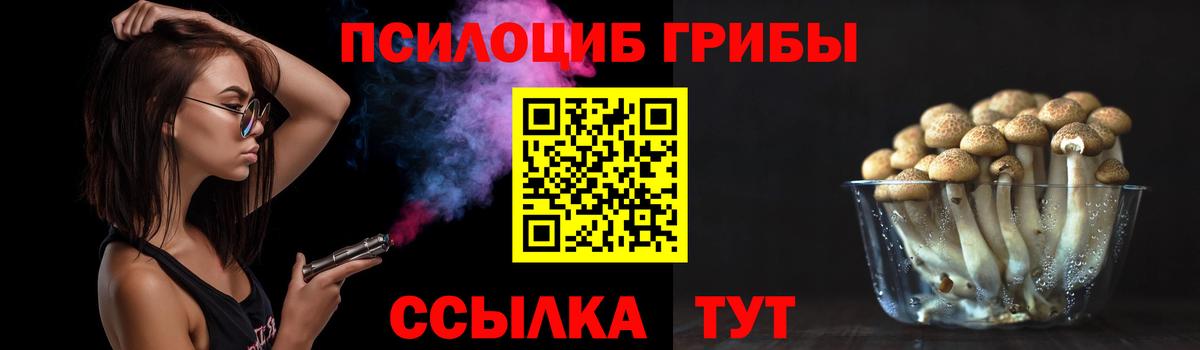 Куйбышев  Псилоцибиновые грибы прущие грибы  Вход с VPN  Галлюциногенные грибы мицелий 